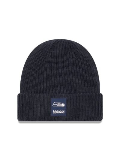 Seattle Seahawks 2025 Sideline Cold Weather Steel Clouds Cuff Knit Beanie