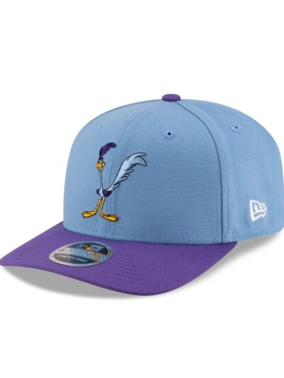 Looney Tunes Road Runner 9SEVENTY Stretch-Snap Hat