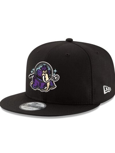 Erie Moon Mammoths 9FIFTY Snapback Hat